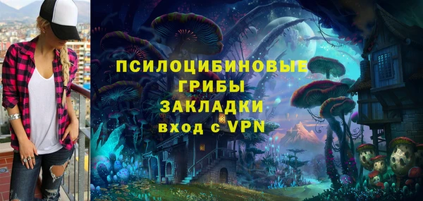 дживик Арсеньев