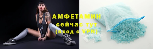 индика Армянск