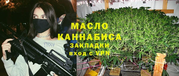 индика Армянск