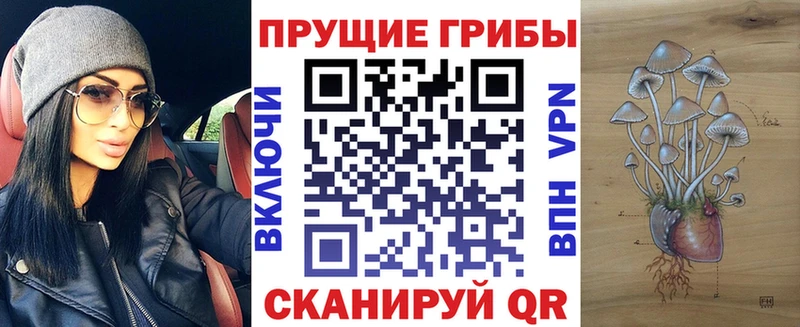 Псилоцибиновые грибы GOLDEN TEACHER  купить наркотики сайты  Балтийск 