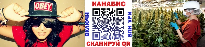 Каннабис план  Балтийск 